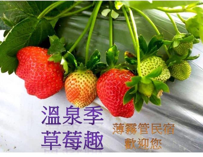 Miaoli Sanyi Bo Wu Guan Homestay Dış mekan fotoğraf
